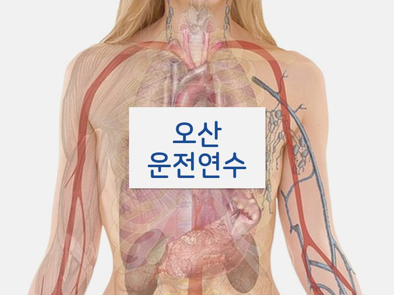 오산운전연수 후기