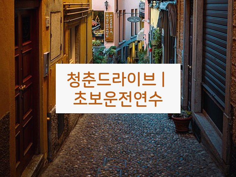 청춘드라이브 | 초보운전연수 후기