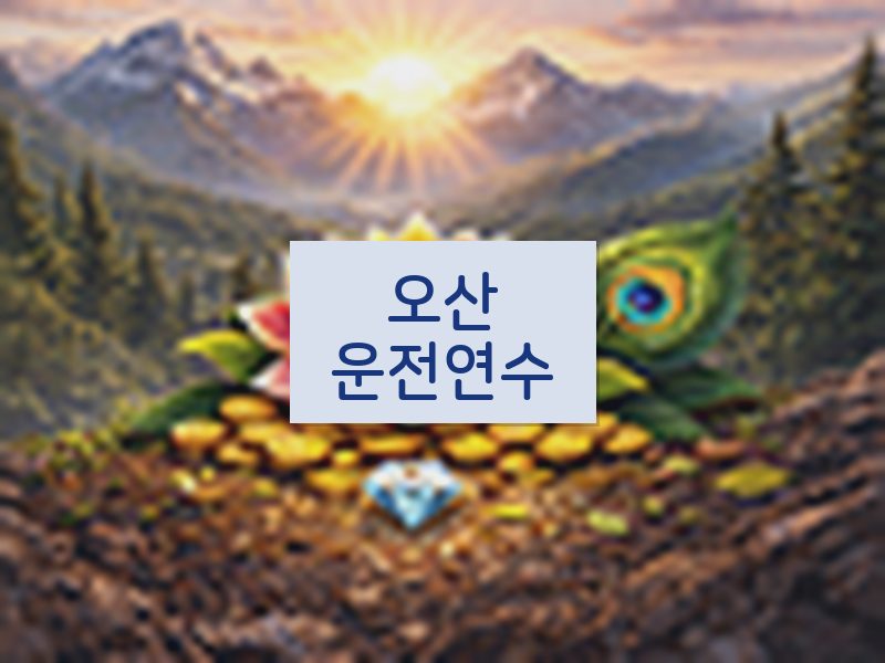 오산운전연수 후기