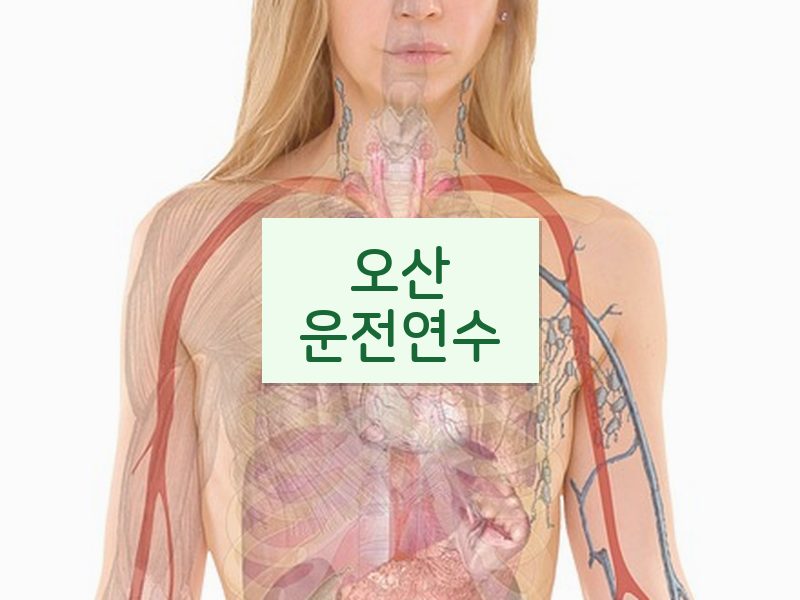 오산운전연수 후기