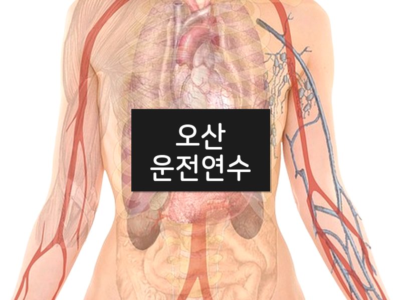 오산운전연수 후기