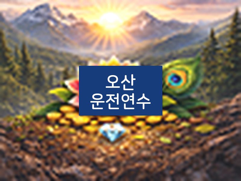 오산운전연수 후기
