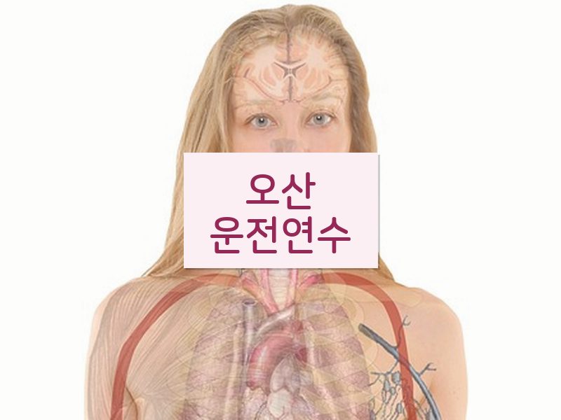 오산운전연수 후기