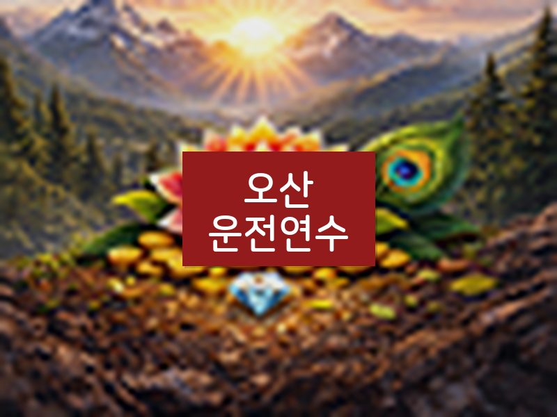 오산운전연수 후기