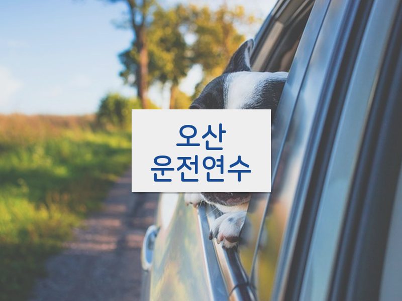 오산운전연수 후기