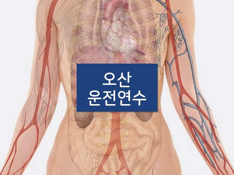 오산운전연수 후기