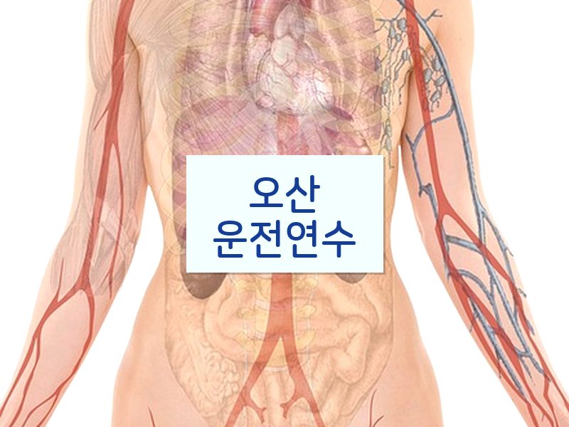 오산운전연수 후기