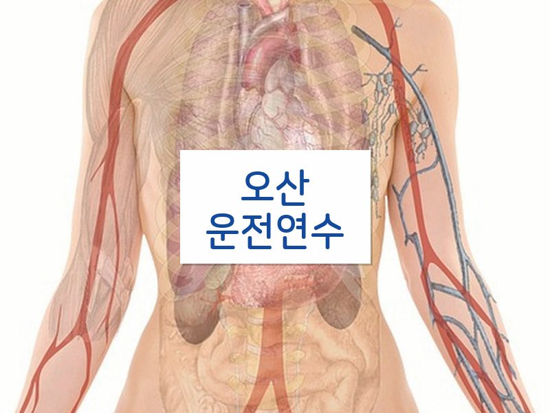 오산운전연수 후기
