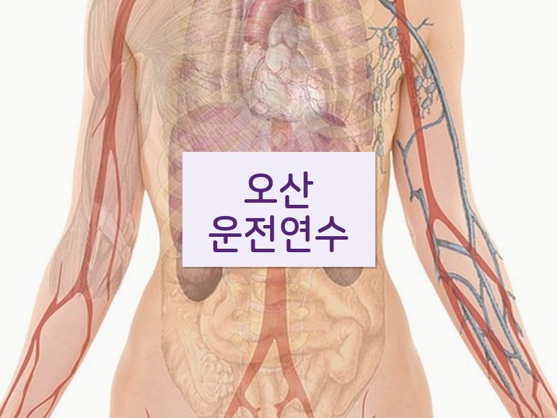 오산운전연수 후기