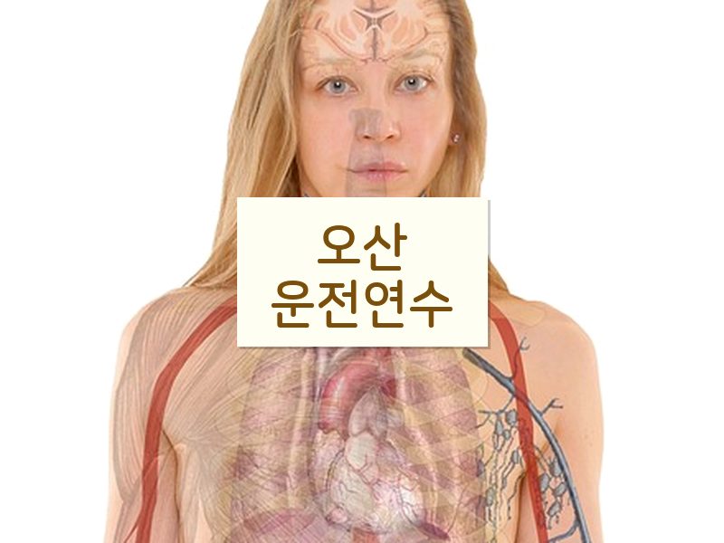 오산운전연수 후기