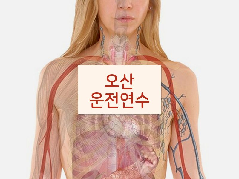 오산운전연수 후기