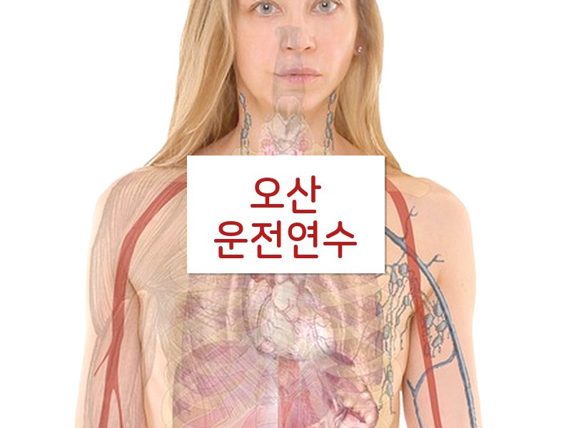 오산운전연수 후기