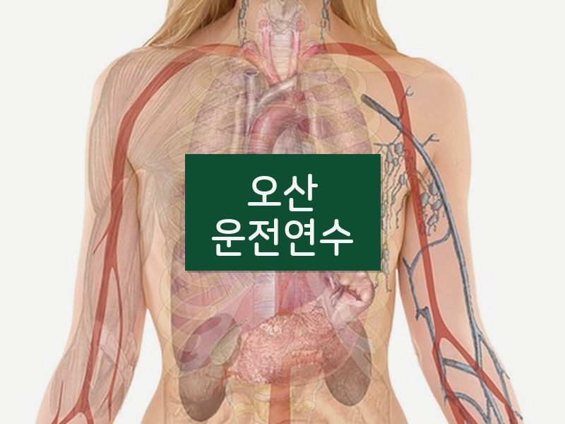 오산운전연수 후기