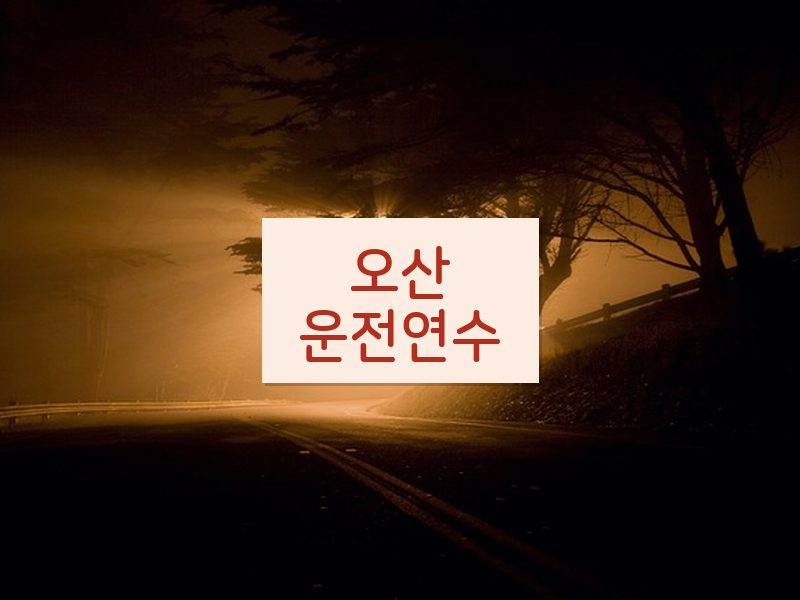 오산운전연수 후기