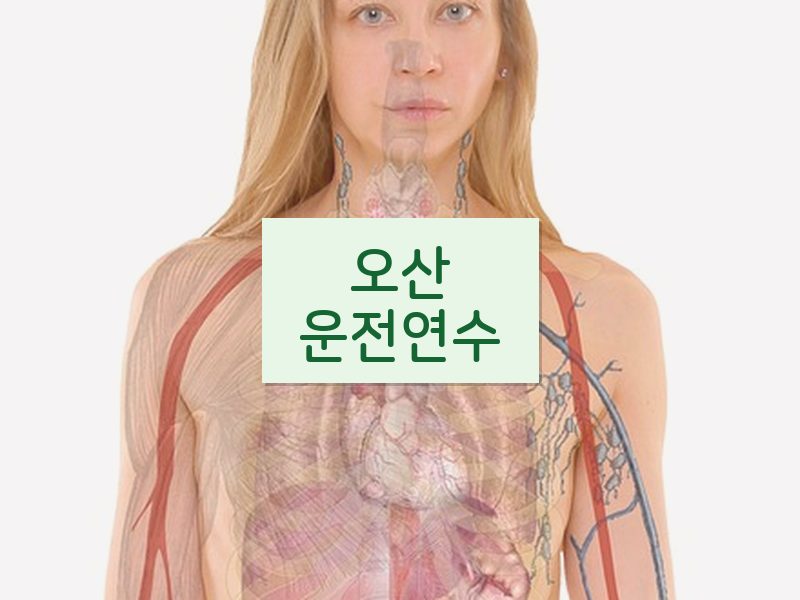 오산운전연수 후기