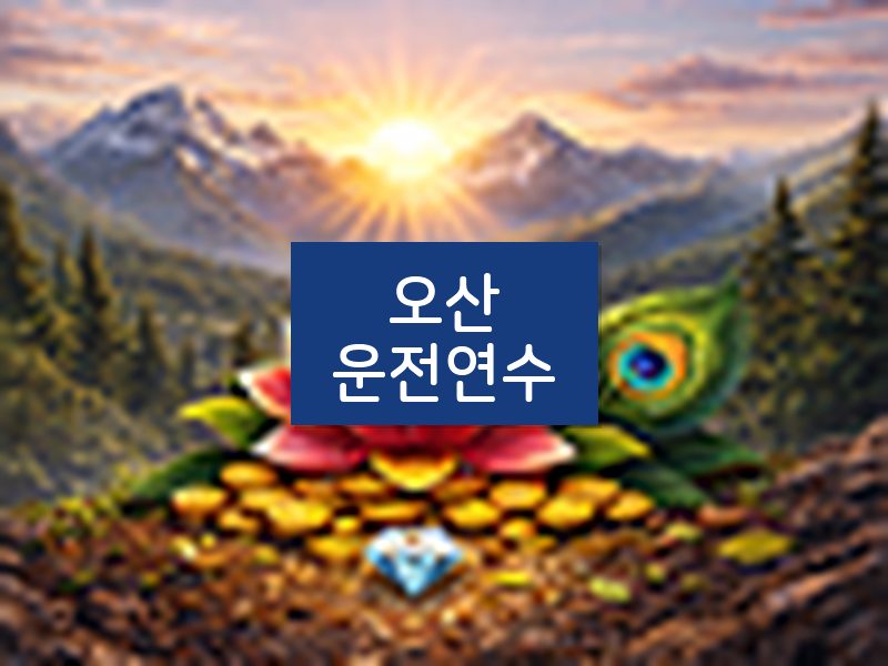 오산운전연수 후기