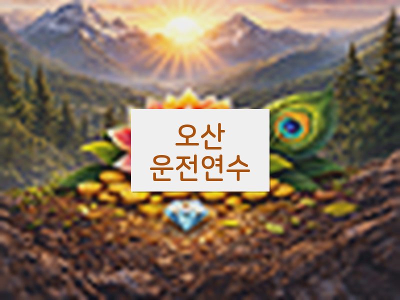 오산운전연수 후기