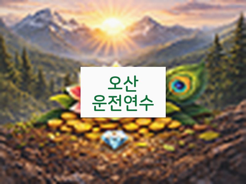 오산운전연수 후기