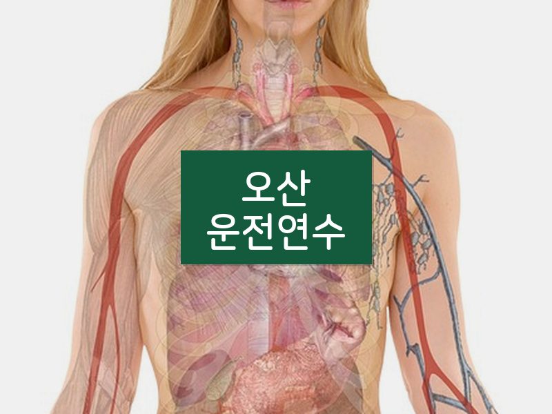 오산운전연수 후기