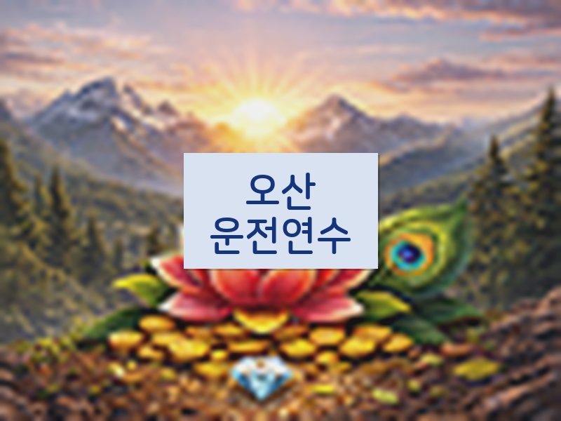 오산운전연수 후기