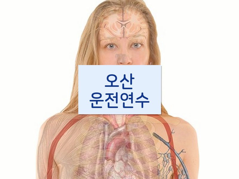 오산운전연수 후기