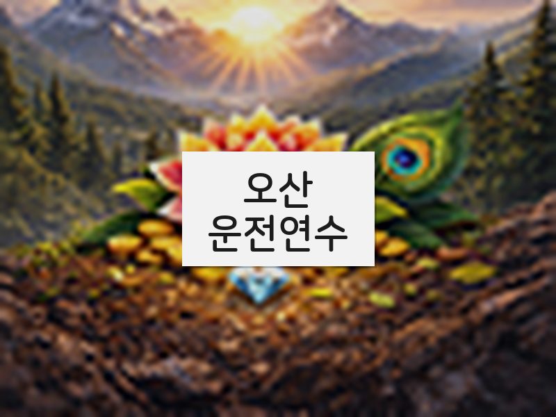 오산운전연수 후기