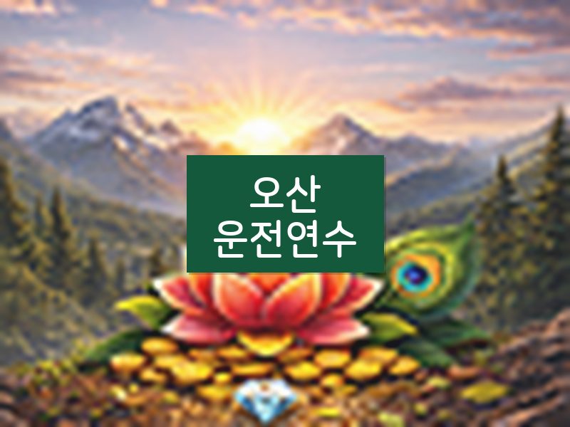 오산운전연수 후기