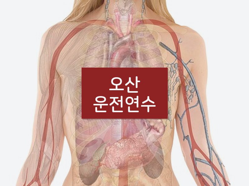 오산운전연수 후기