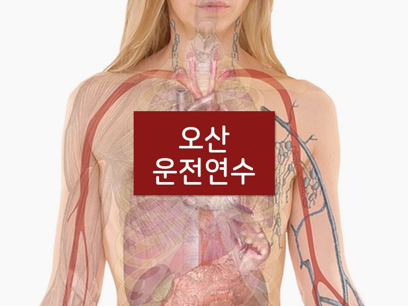 오산운전연수 후기