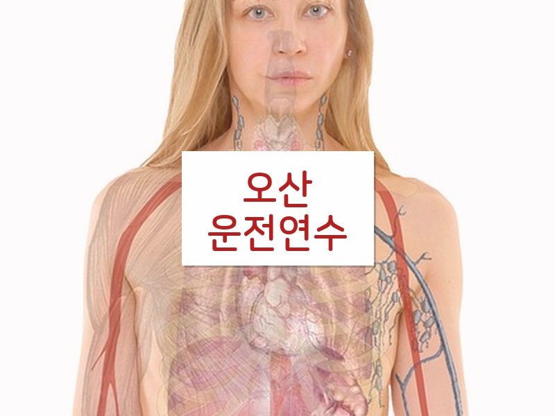 오산운전연수 후기