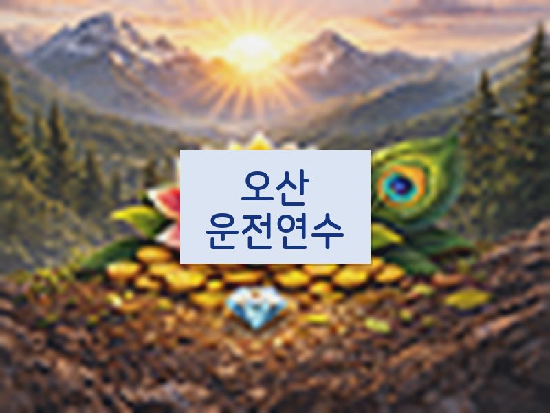 오산운전연수 후기