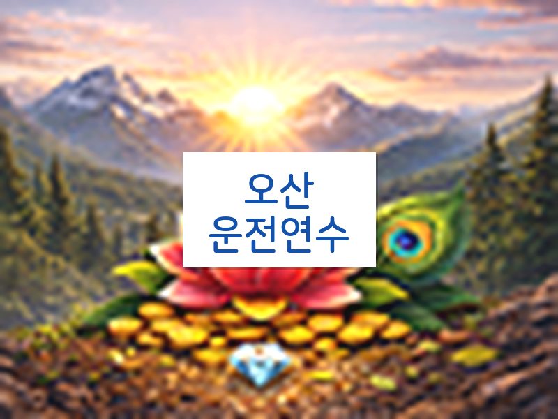 오산운전연수 후기