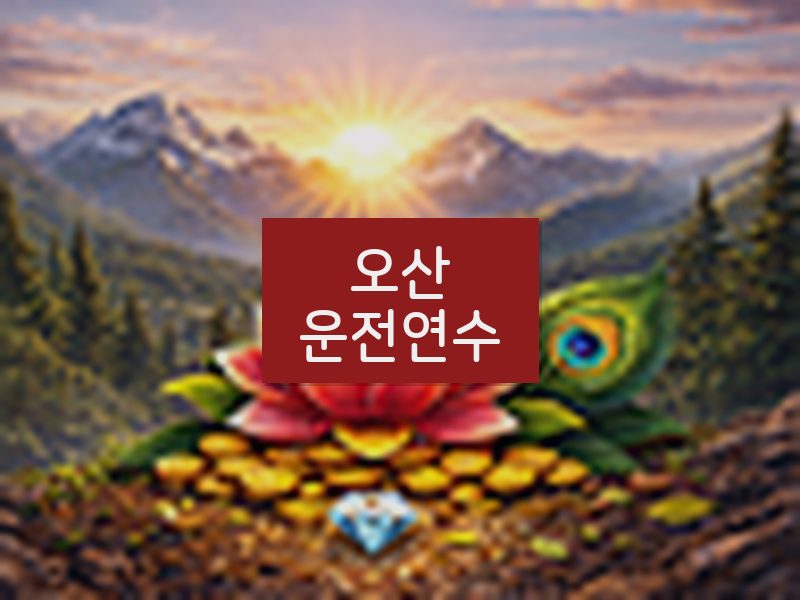 오산운전연수 후기