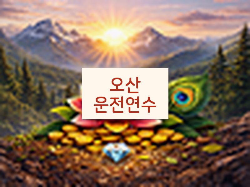 오산운전연수 후기