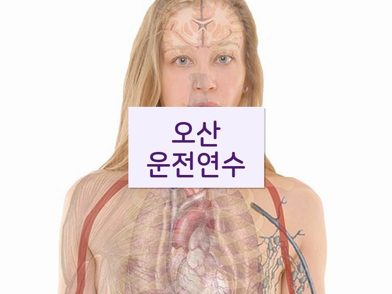 오산운전연수 후기