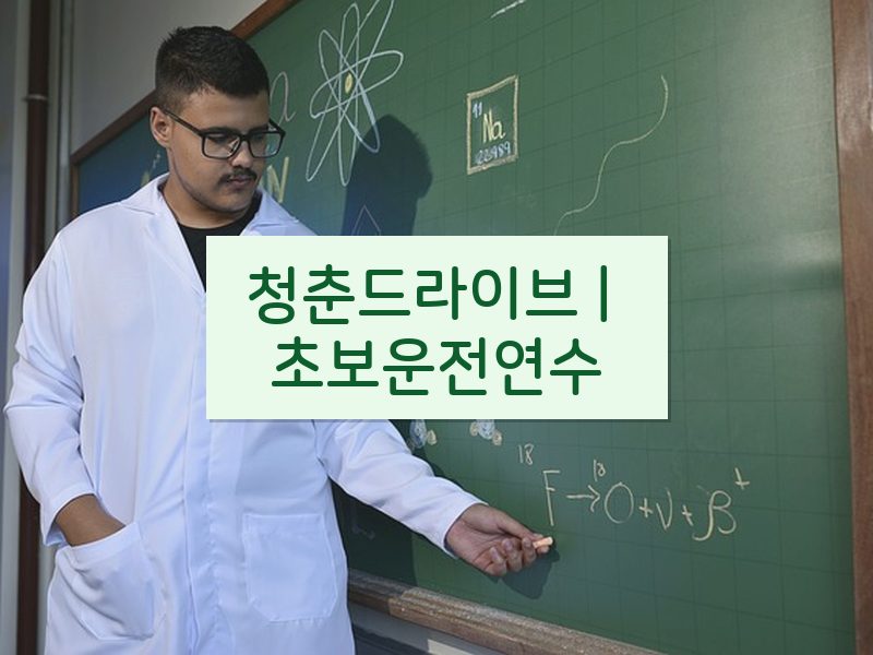 청춘드라이브 | 초보운전연수 후기