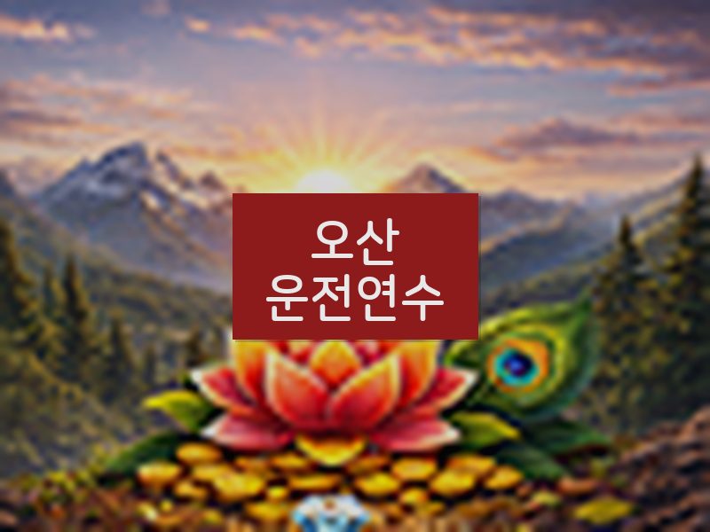 오산운전연수 후기