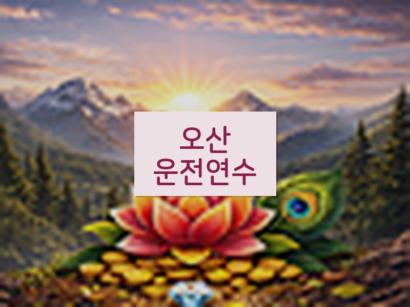 오산운전연수 후기