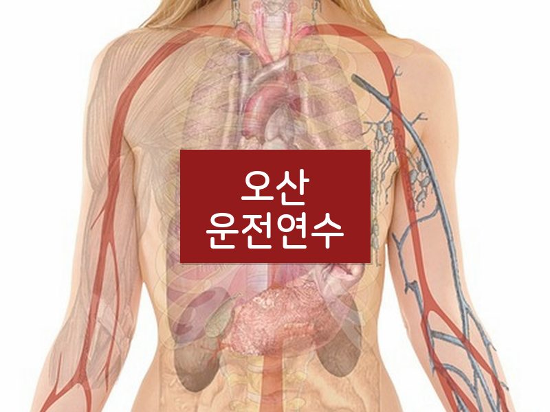 오산운전연수 후기