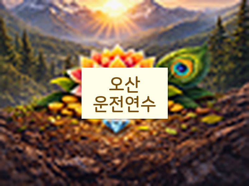 오산운전연수 후기