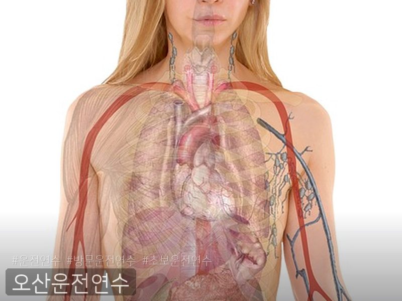 오산운전연수 후기