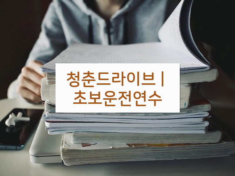 청춘드라이브 | 초보운전연수 후기