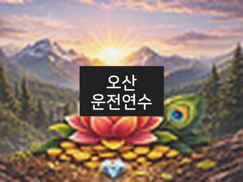 오산운전연수 후기