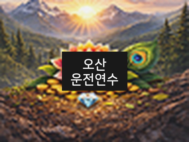 오산운전연수 후기