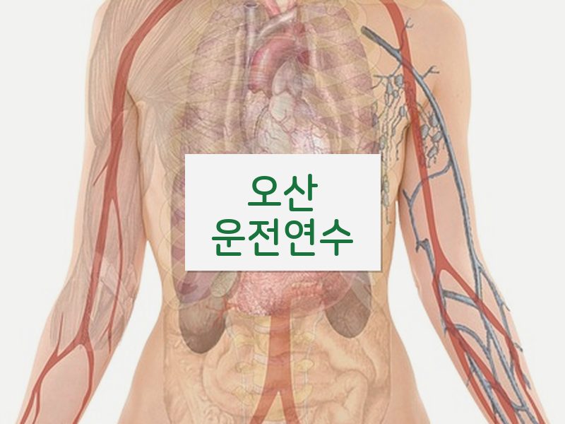 오산운전연수 후기