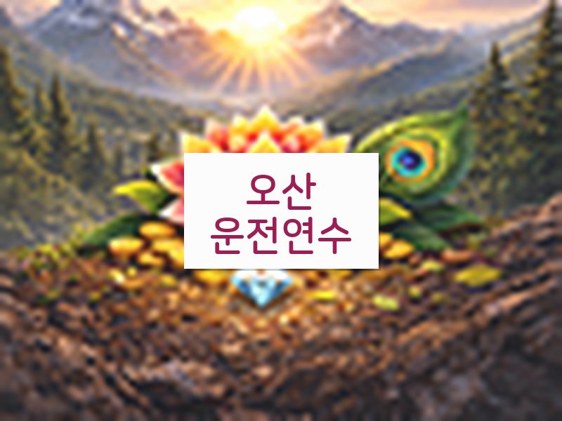 오산운전연수 후기