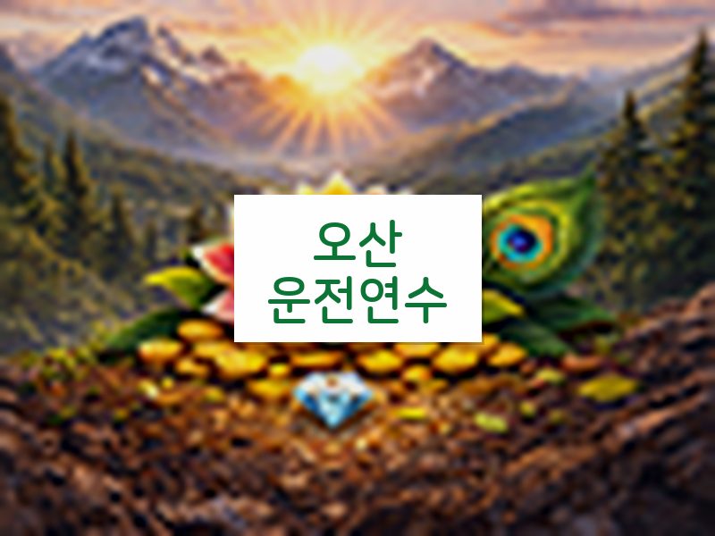 오산운전연수 후기