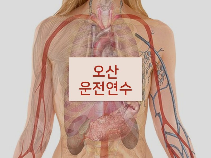오산운전연수 후기