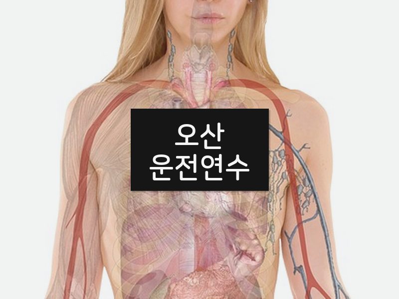 오산운전연수 후기