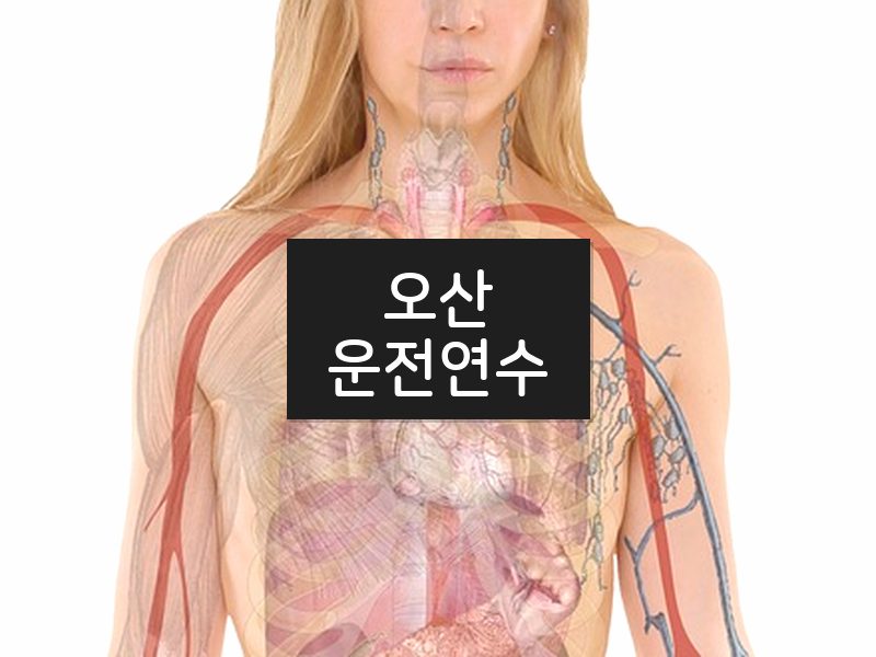 오산운전연수 후기